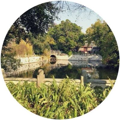 日经指数或将区间波动 受美伊谈判不确定性影响